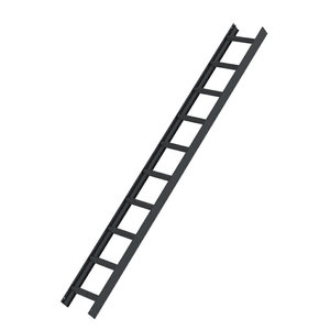 Günzburger Steigtechnik Dachleiter Anthrazitgrau