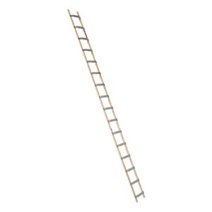 Euroline Holz/Alu-Dachdeckerauflegeleiter Nr. 11102