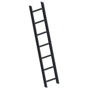 Layher Dachleiter TOPIC