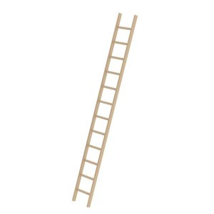 Günzburger Steigtechnik Sprossen-Anlegeleiter Holz ohne Traverse