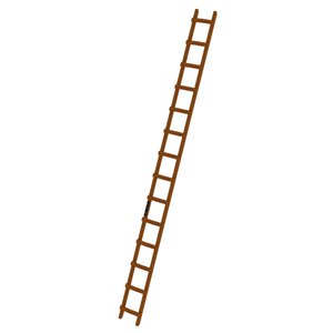 Günzburger Steigtechnik Dachleiter Holz