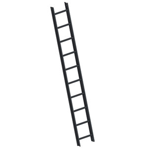 Layher Dachleiter TOPIC