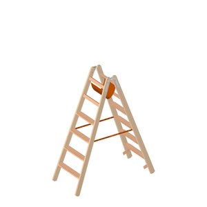 Layher Holzstehleiter mit 80mm breiten Stufen, beidseitig begehbar