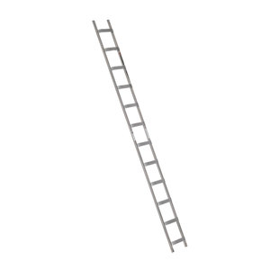 Euroline Alu-Dachdecker-Auflegeleiter Nr. 320