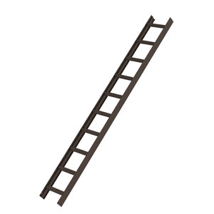 Günzburger Steigtechnik Dachleiter Braun