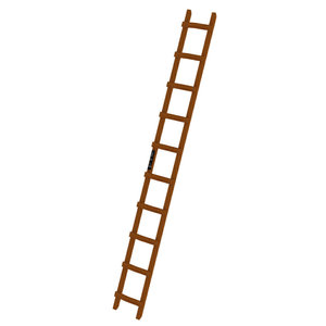 Günzburger Steigtechnik Dachleiter Holz