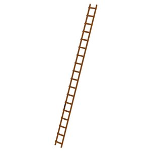 Günzburger Steigtechnik Dachleiter Holz