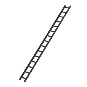 Günzburger Steigtechnik Dachleiter Braun