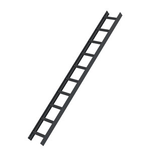 Günzburger Steigtechnik Dachleiter Anthrazitgrau