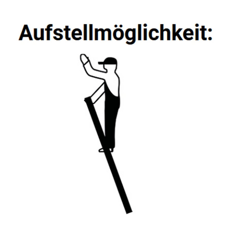 Krause MONTO Sprossen-AnlegeLeiter Sibilo einteilig 12 Sprossen