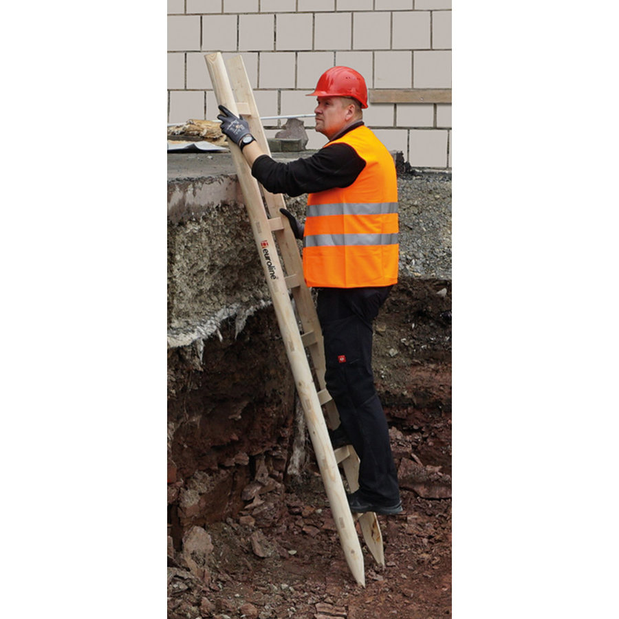 Euroline Holzanlegeleiter Nr. 10102 1x17