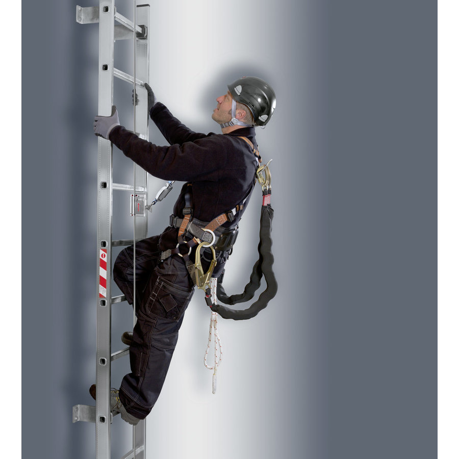 Hailo Professional Seilgeführtes mitlaufendes Auffanggerät SSL-8 R1 Mit Bandfalldämpfer BFD-50/8-1 und Toolbox