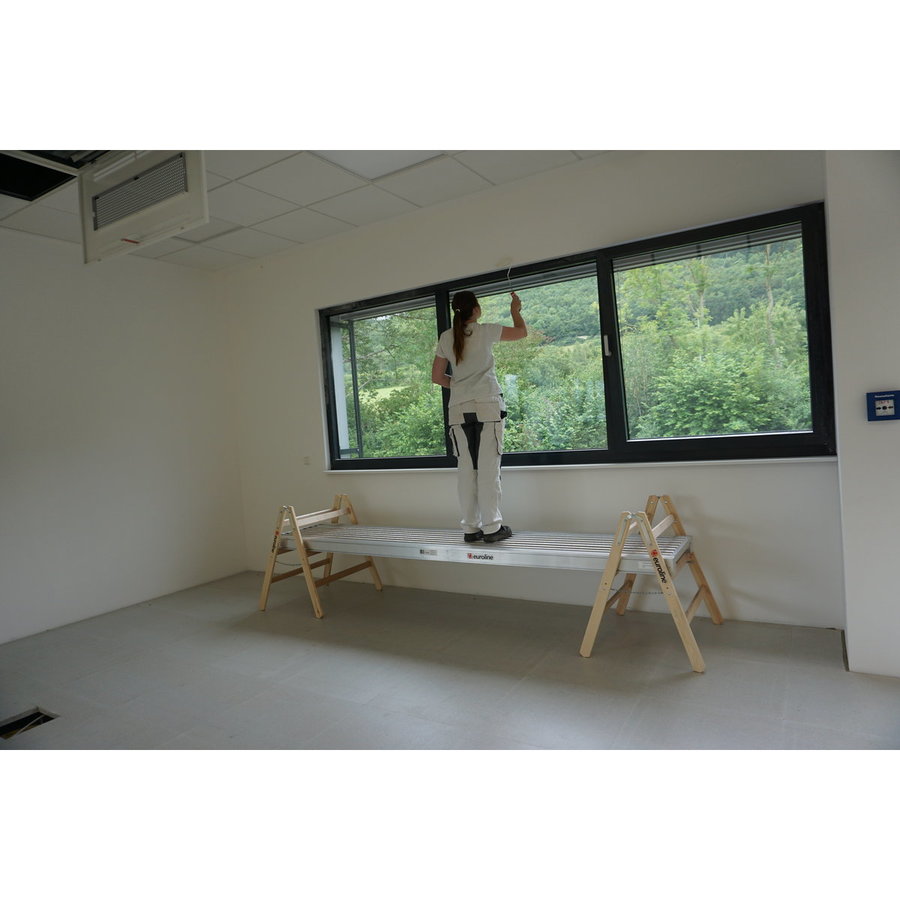 Euroline Alu-Steg als Bohle oder Gehweg Länge 3,00 m