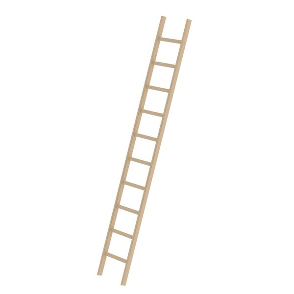 Günzburger Steigtechnik Sprossen-Anlegeleiter Holz ohne Traverse 10 Sprossen