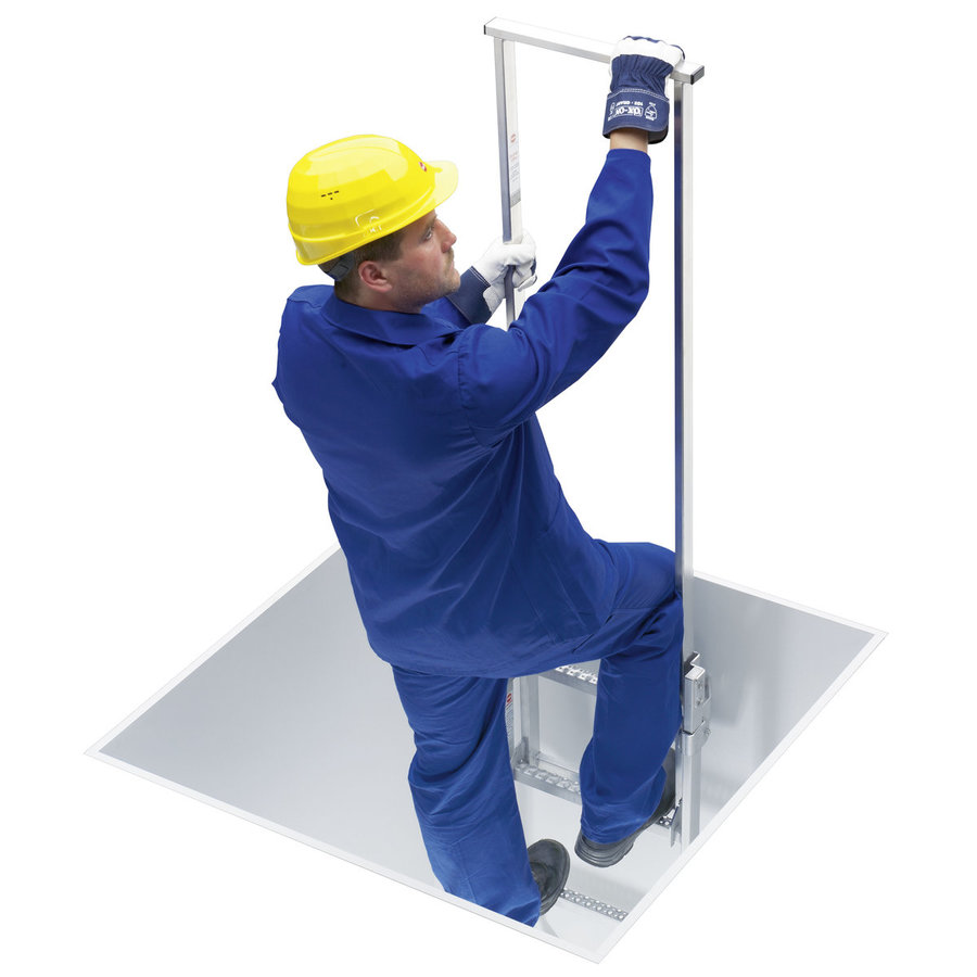 Hailo Professional Zweiholm-Einstiegshilfe LW 300, Holm 40 x 20 mm Edelstahl 1.4301