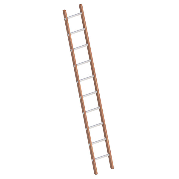 Layher Verbundanlegeleiter 10 Sprossen, Holz-Aluminium-Anlegeleiter, Länge 2.95 m