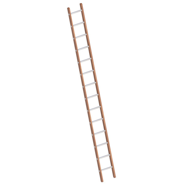 Layher Verbundanlegeleiter 14 Sprossen, Holz-Aluminium-Anlegeleiter, Länge 4.05 m