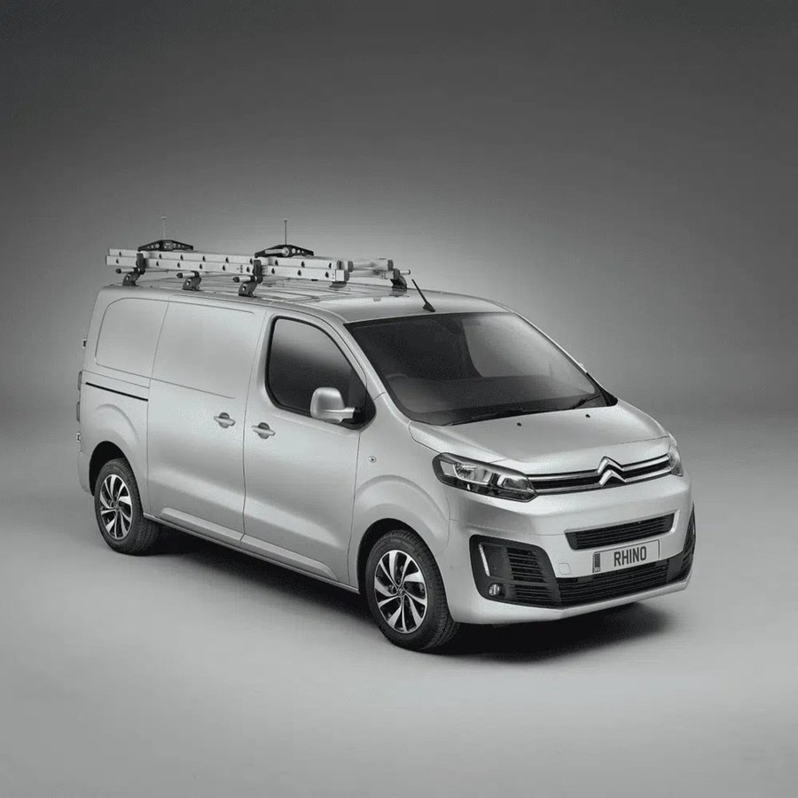 Rhino SafeClamp Leiterklemme - Dachträger RAS21P 2 Stück