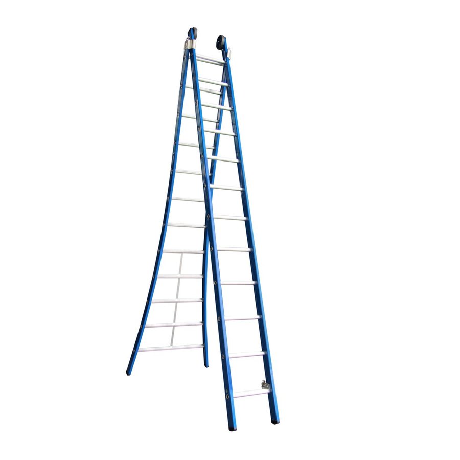 ASC Group Premium ladder 2x12