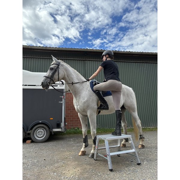 Euroline Alu-Stufenstehleiter breit Nr. 30581 obere Standfläche mit R13 Rutschhemmung 2x4