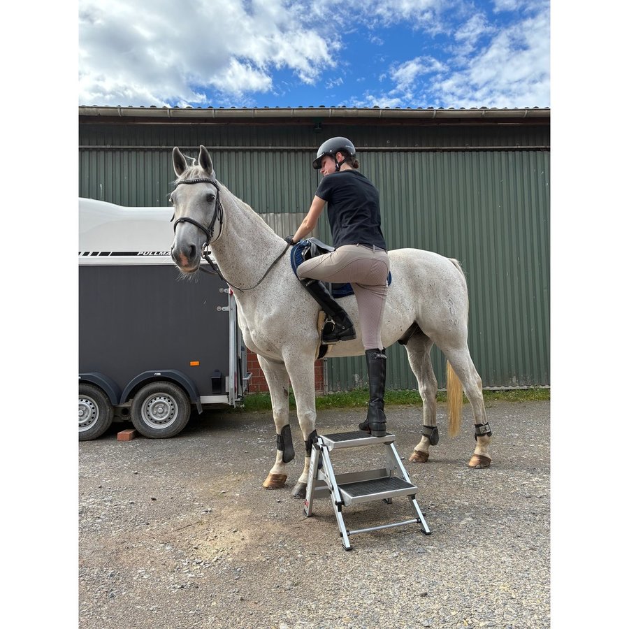 Euroline Alu-Sicherheitstreppe klappbar ohne Sicherheitsbügel Nr. 333 1x2