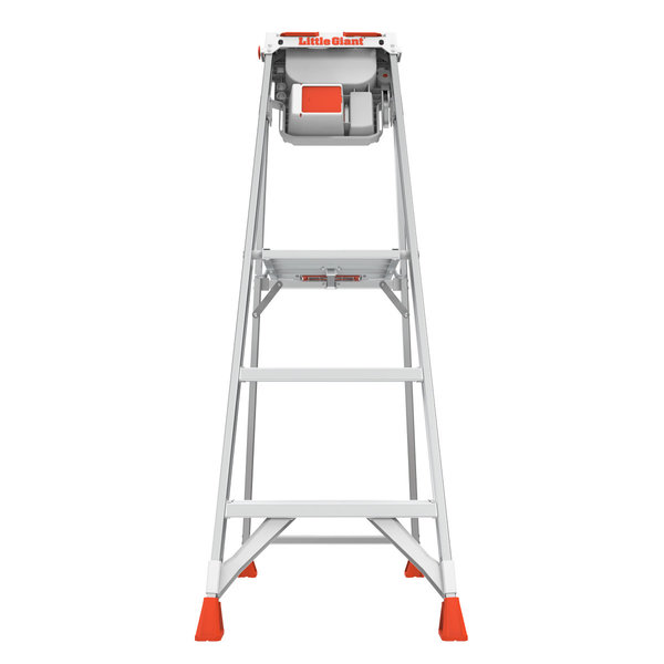 Little Giant Paint Pro