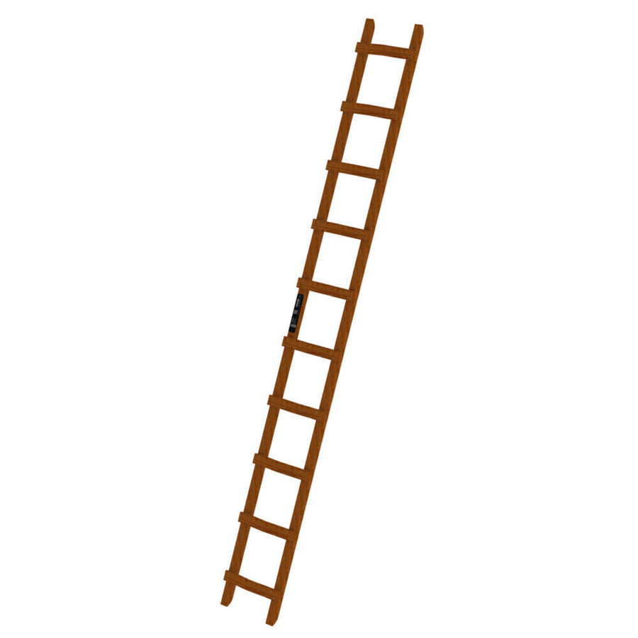 Günzburger Steigtechnik Dachleiter Holz 10 Sprossen