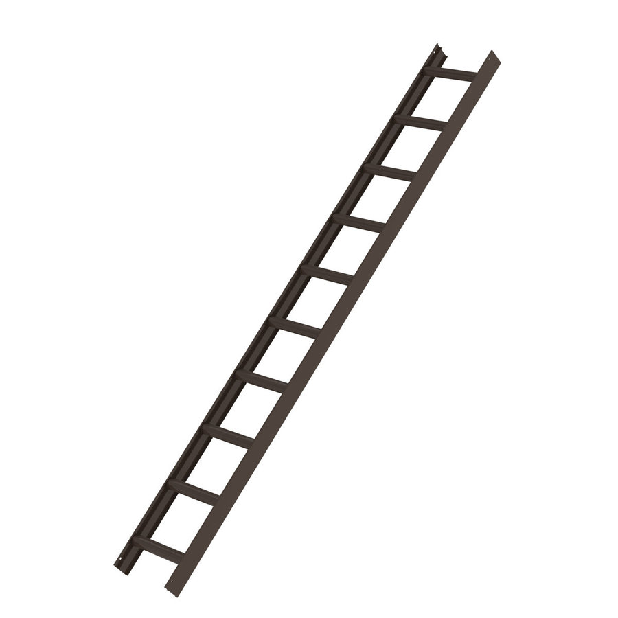 Günzburger Steigtechnik Dachleiter Braun 10 Sprossen
