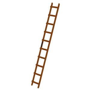 Günzburger Steigtechnik Dachleiter Holz