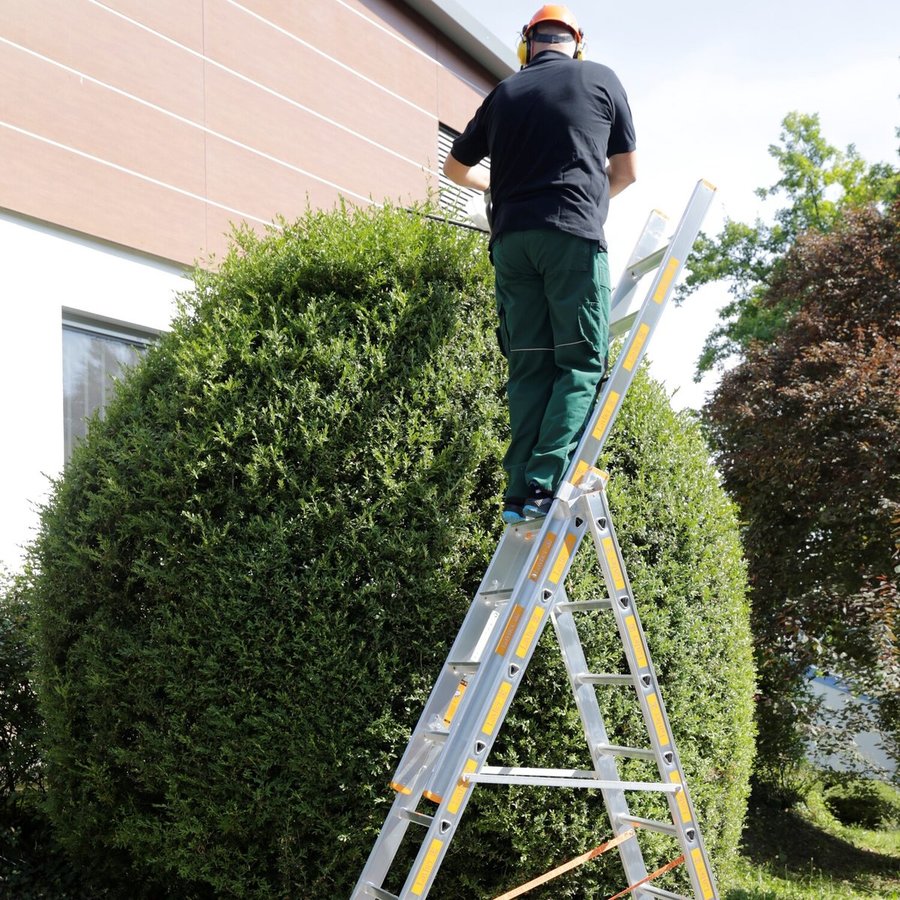 Layher LE TOPIC-ALLZWECKLEITER 3X12 STUFEN