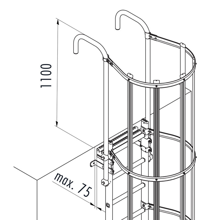 Hailo Professional Steigleiter mit Rückenschutz, Aluminium 3,08 m | 11 Sprossen