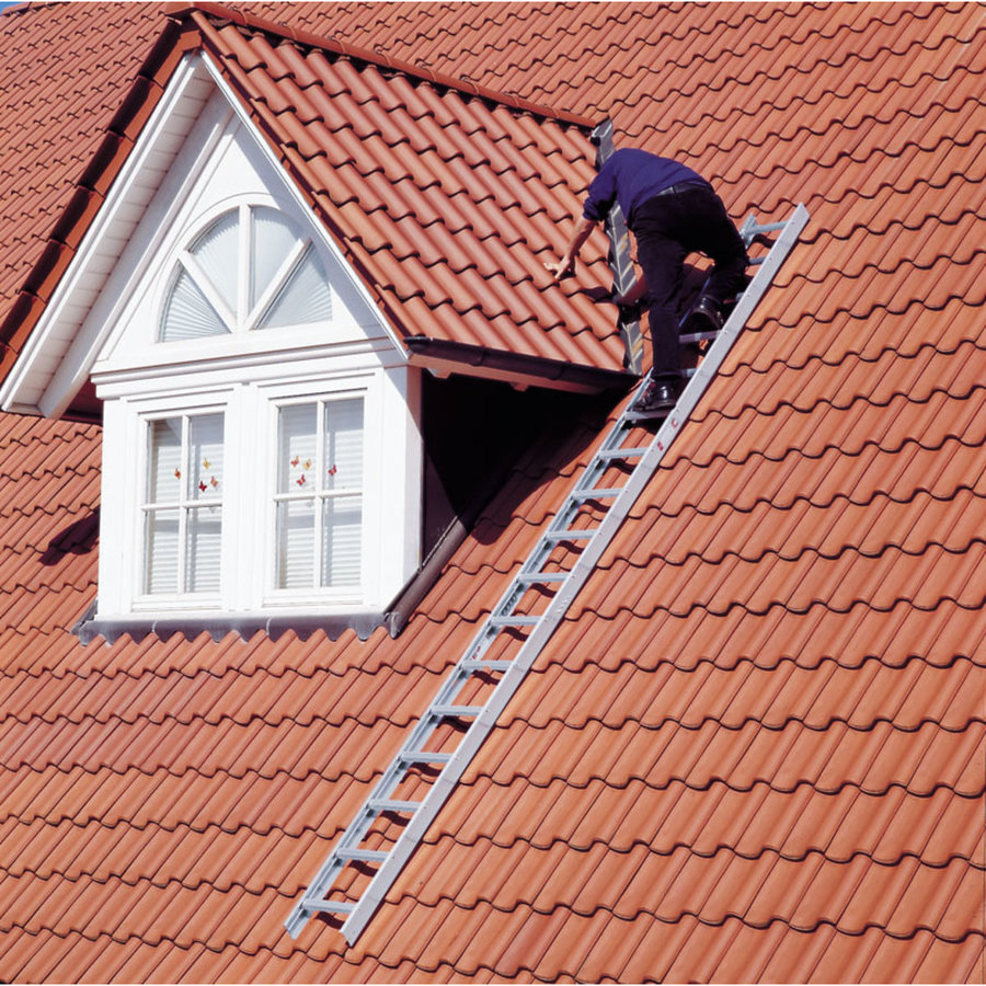 Euroline Alu-Dachauflegeleiter natur Nr. 321 14 Sprossen