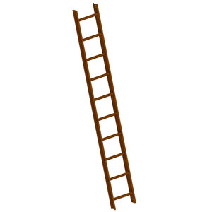 Layher Dachleiter TOPIC