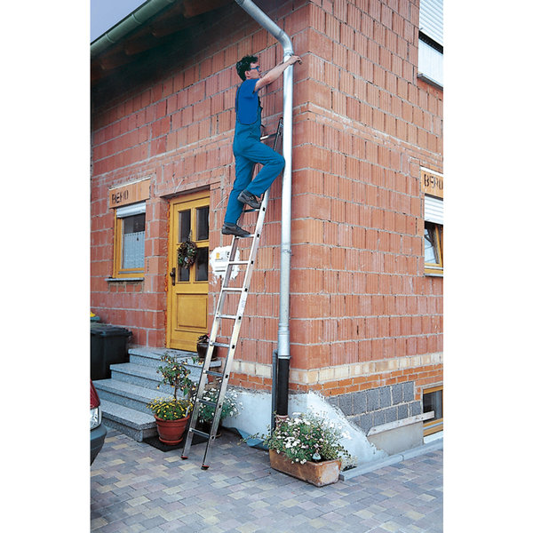 Krause MONTO Sprossen-AnlegeLeiter Sibilo einteilig 12 Sprossen