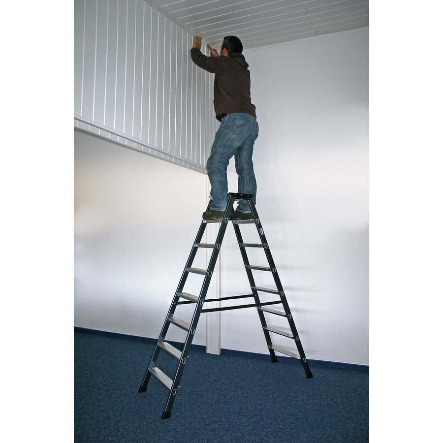 Krause MONTO Stufen-DoppelLeiter SePro D eloxiert 2x8 Stufen